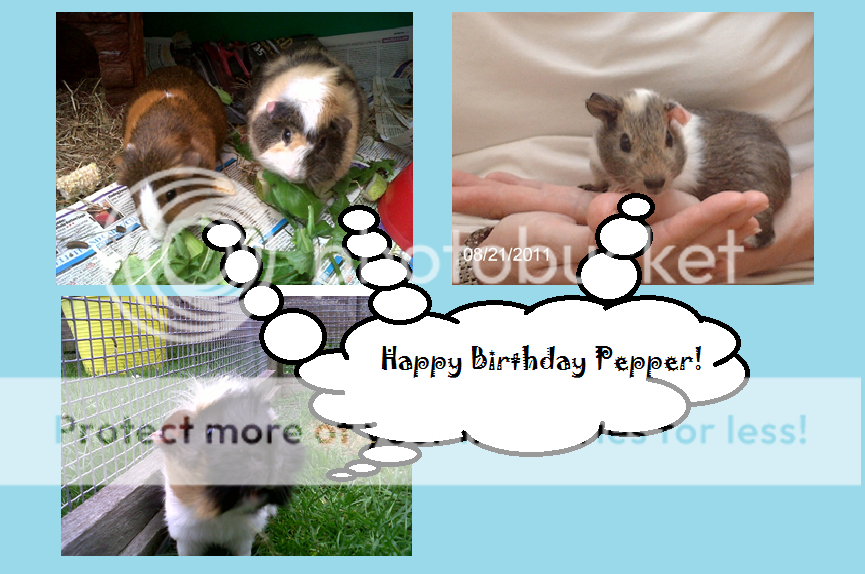 Happybirthdaypepper2.png