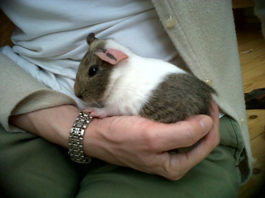 Hartleyfitsinyourhand20thAugust2011.jpg