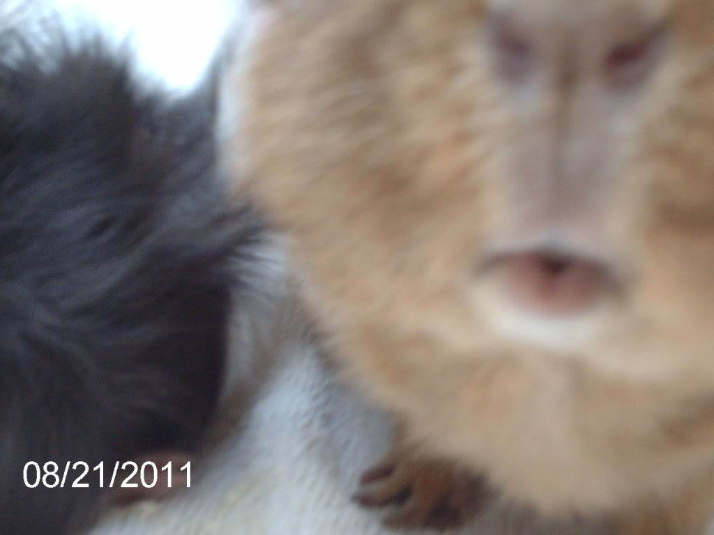 IMAG0433.jpg