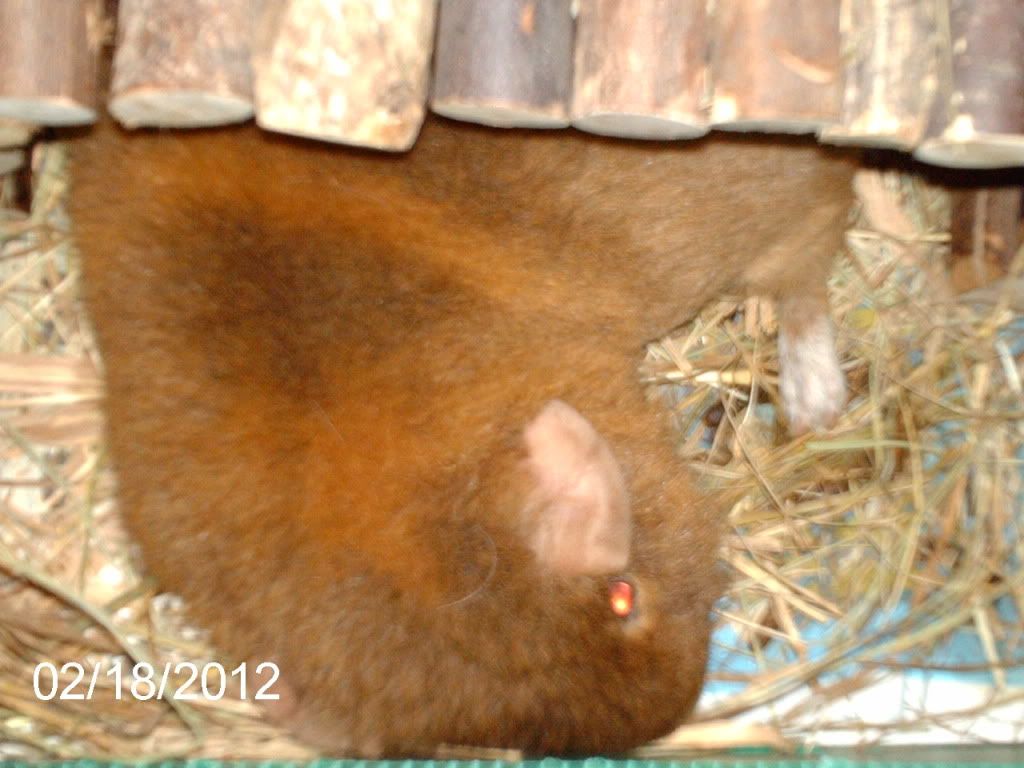 IMAG0640.jpg