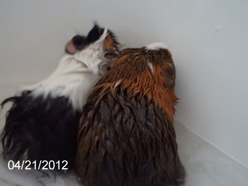 IMAG0670.jpg