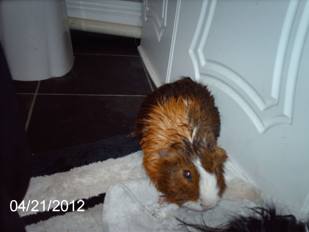 IMAG0677.jpg