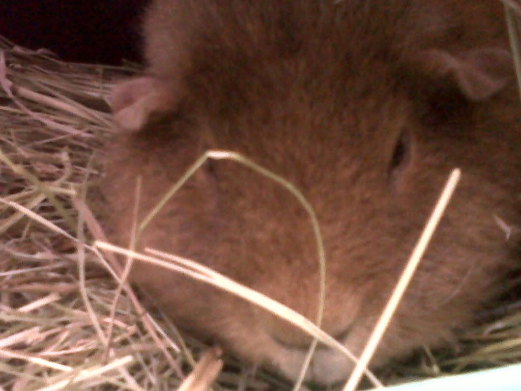 IMG00588-20120128-1551.jpg