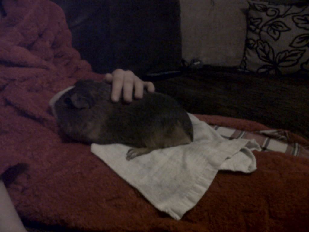 IMG00644-20120225-2057.jpg