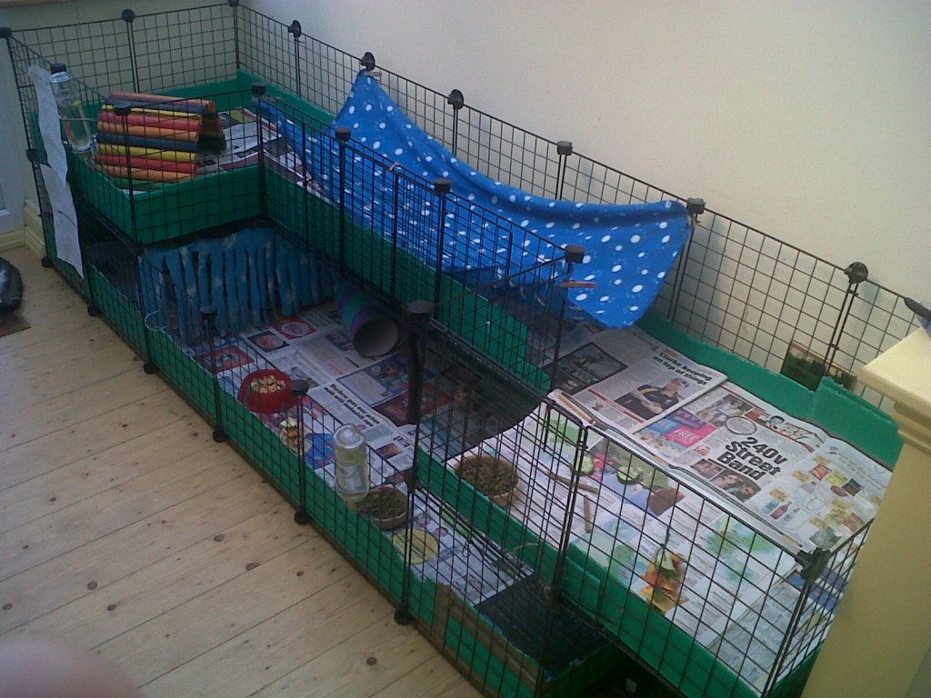 IMG01037-20120726-1611.jpg