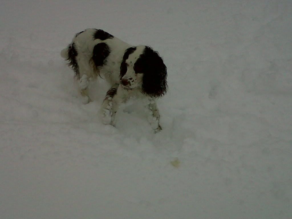 Peggyinthesnow.jpg