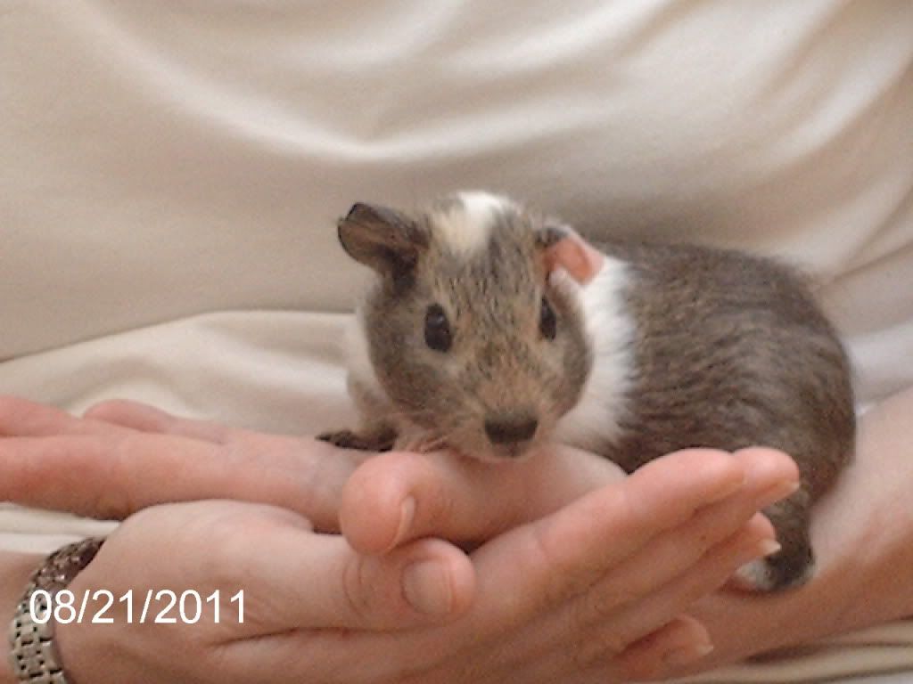 babyHartley.jpg