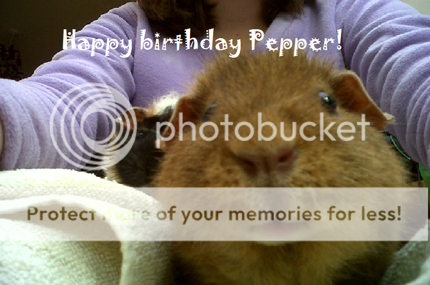 happybirthdayPepper.png