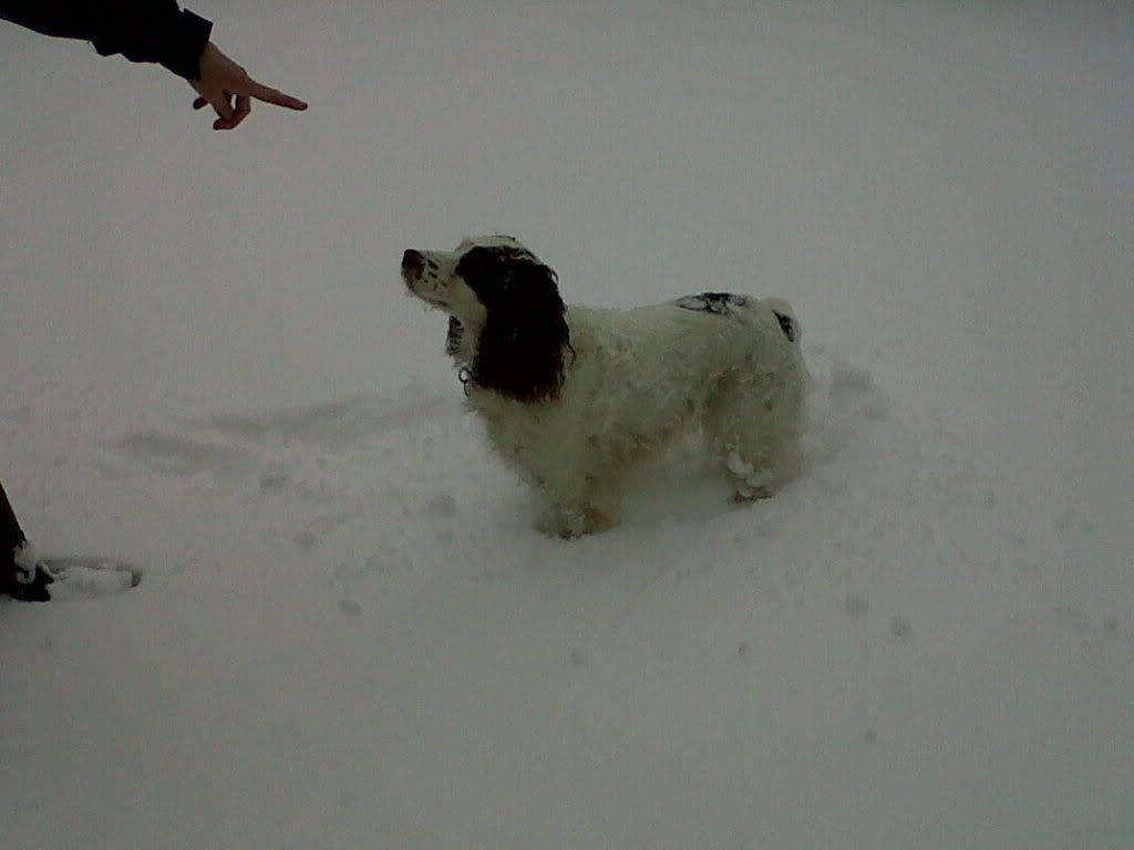 lookhowdeepthesnowisonPeggy1.jpg