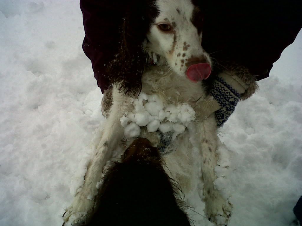 peggygettinghelptogetthesnowballsoff.jpg