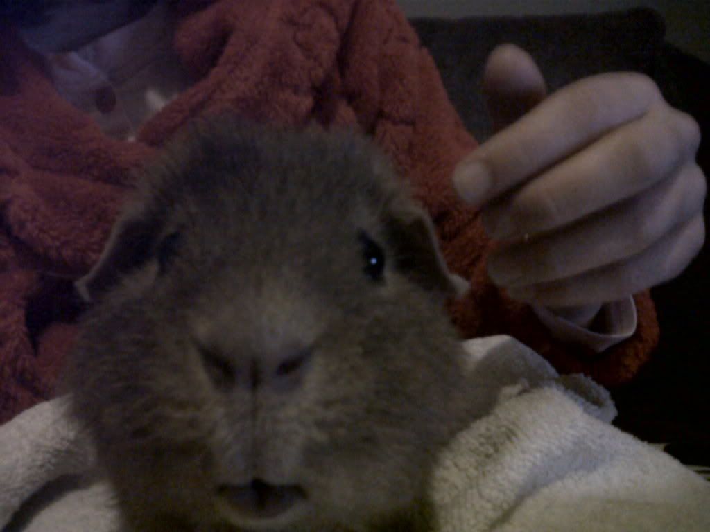 smilingpepper.jpg