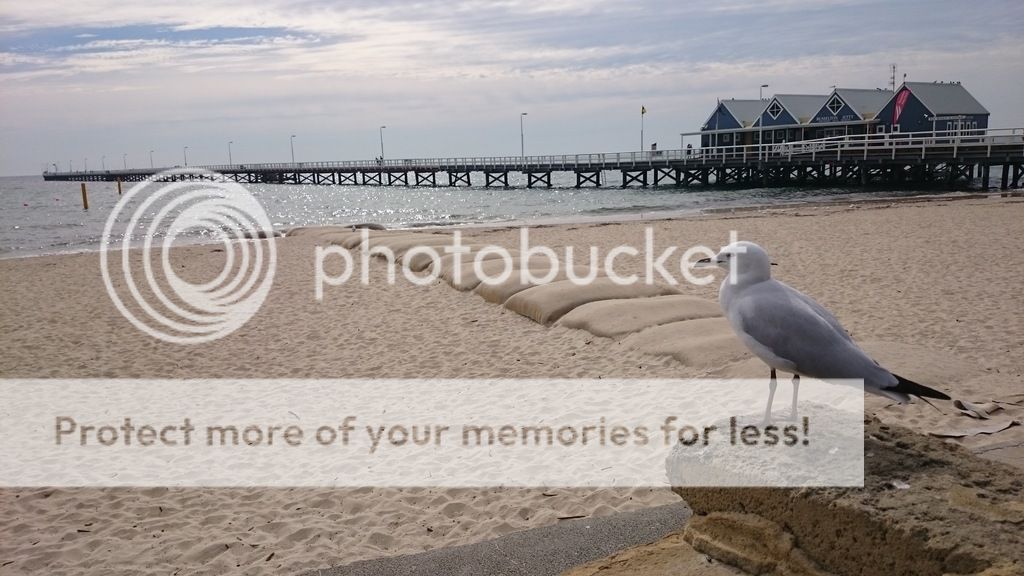 09_busselton2_wa_zpscxx2xtlb.jpg